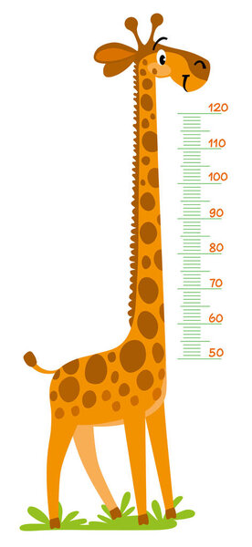 Стена или диаграмма высоты жирафа
