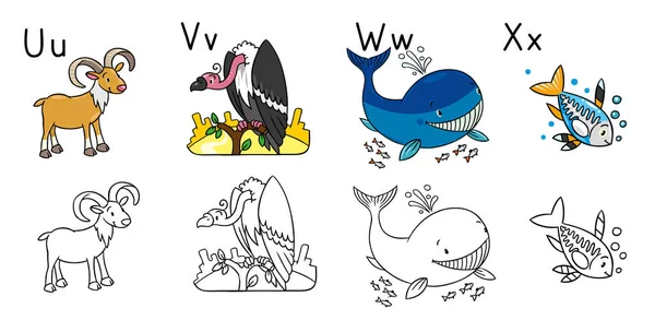 Alphabet des animaux ou ABC. Livre à colorier — Image vectorielle