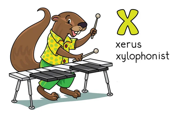Xerus xylophonist Animals ABC untuk anak-anak. Alfabet X - Stok Vektor