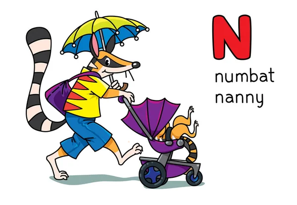 Numbat chůva zvířata a profese ABC abeceda N — Stockový vektor