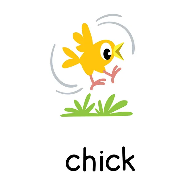 Chick or chicken vector illustration. Farm animals — Stok Vektör