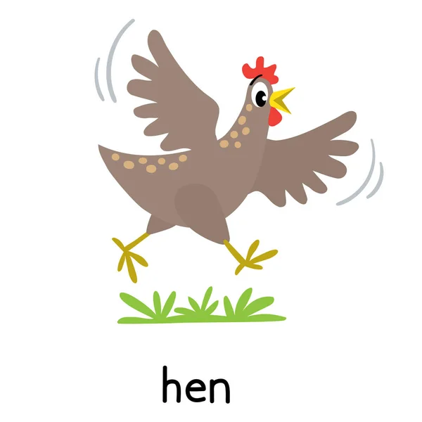 Chicken or hen vector illustration. Farm animals — Stok Vektör