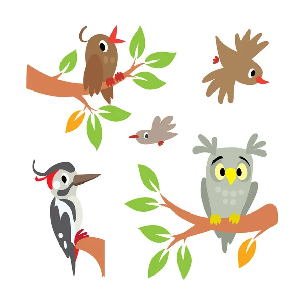 Pájaros. Juego de ilustraciones, búho, pájaro carpintero y otros — Vector de stock