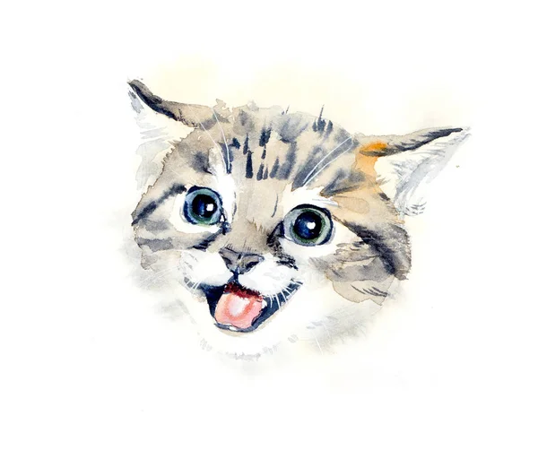 Gatito dijo: Meow ! — Foto de Stock