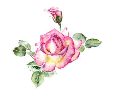  Pembe Gül desen. Düğün çizimler. 