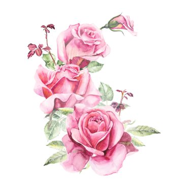  Pembe Gül desen. Düğün çizimler. 