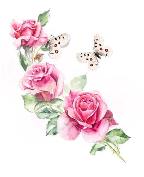 Rosebush and butterflies. Pattern from pink rose. — Stock Photo, Image