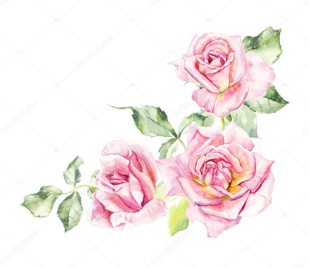  Pattern from pink rose. Wedding drawings. 