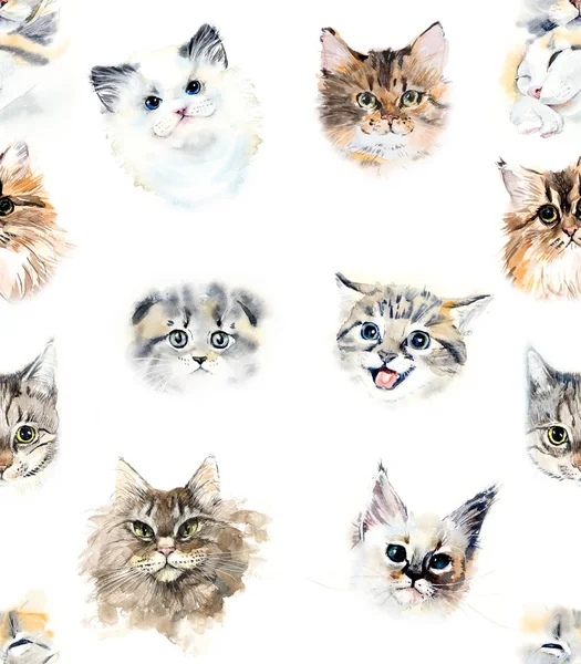 Seamless pattern with cats — Stock Photo, Image