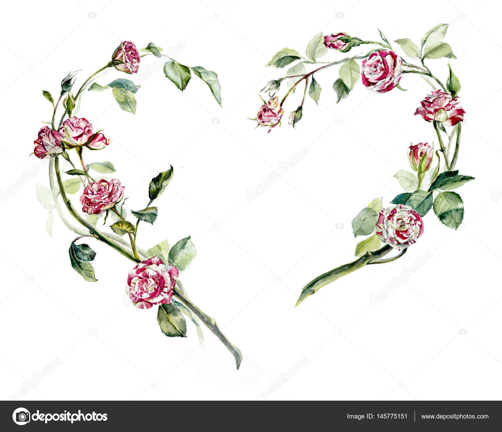 Coeur de cadre de roses. Dessins de mariage . — Illustration de stock par  ©budogosh - 145775151, image size:1600x1377