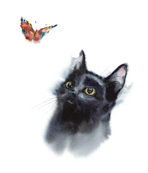 Siyah kedi ve kelebek. 