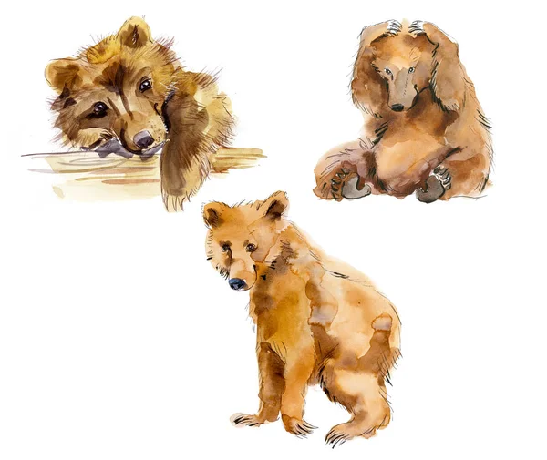 Bear cubs. Wild animals Stock Photo