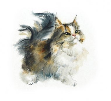 Yerli kedi. Kedi arka plan. 