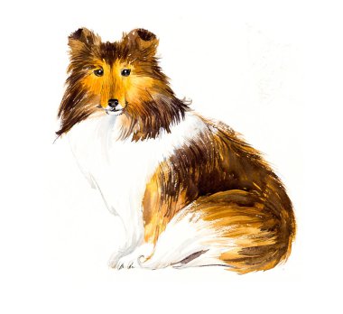 Sığınak. Portre köpek. Suluboya elle çizilmiş illüstrasyon.