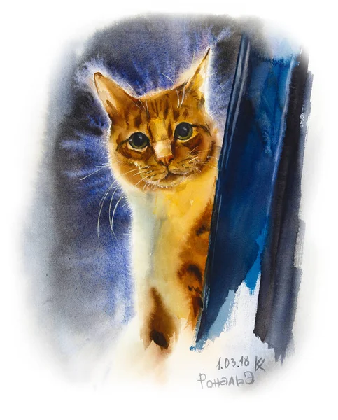 Gato Doméstico Vermelho Ilustração Desenhada Mão Aquarela — Fotografia de Stock
