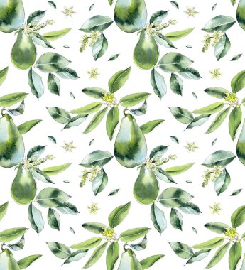 Avokado. Kusursuz desen. Suluboya el çizimi