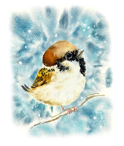 Passero su un ramo. Schema con uccello. Illustrazione disegnata a mano acquerello — Foto Stock