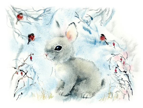 Winter hare with bullfinches. Decoration with wildlife scene. Watercolor hand drawn illustration — Stock Photo, Image