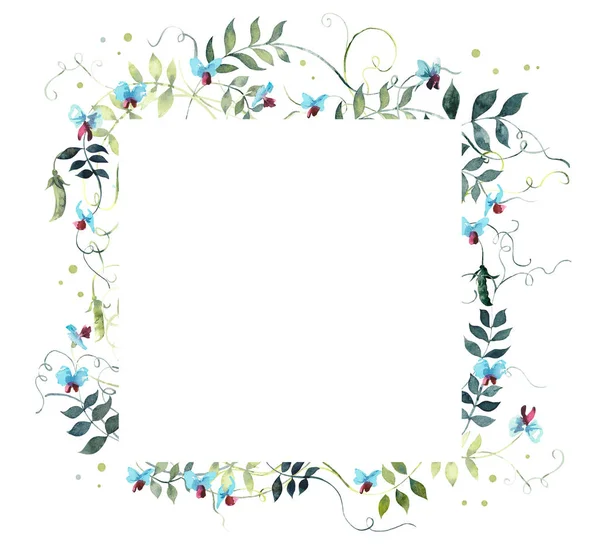 Quadratischer Rahmen Aus Erbse Aquarell Handgezeichnete Illustration Weißer Hintergrund — Stockfoto