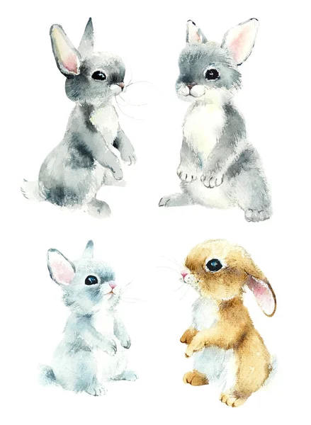 Set Four Bunny Easter Collection Watercolor Hand Drawn Illustration — Stock Photo, Image