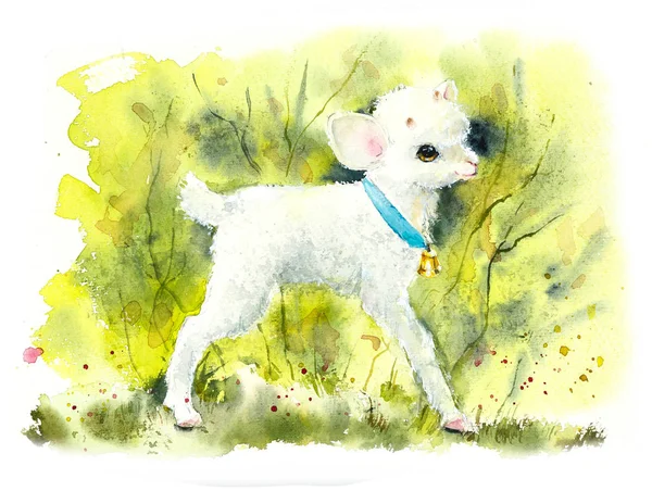Bílé Kozí Děťátko Louce Akvarel Ručně Kreslené Ilustrace — Stock fotografie