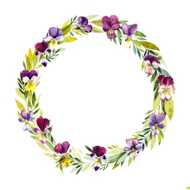 Menekşelerden daire şeklinde. Çiçek arkaplanı. Çiçek açan menekşelerle dekorasyon, el çizimi. Suluboya Çizimi.