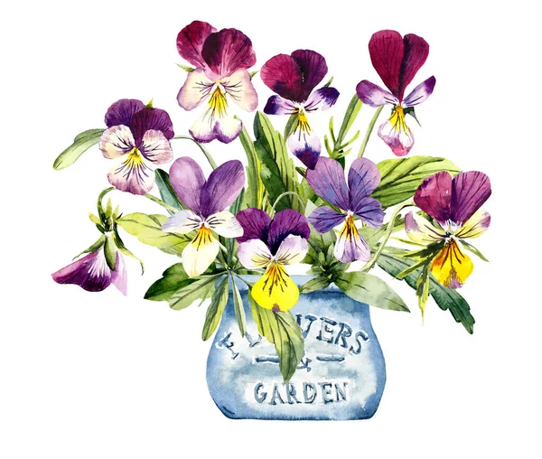 Bouquet Violets Flower Backdrop Decoration Blooming Violets Hand Drawing Watercolor — Stock Photo, Image