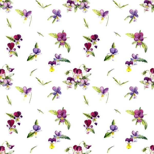 Απρόσκοπτο Μοτίβο Από Βιολέτες Λουλούδι Φόντο Διακόσμηση Ανθισμένες Βιολέτες Σχέδιο — Φωτογραφία Αρχείου