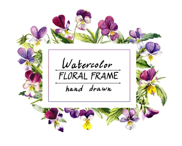 Frame Van Viooltjes Bloemenachtergrond Decoratie Met Bloeiende Viooltjes Handtekening Aquarel — Stockfoto