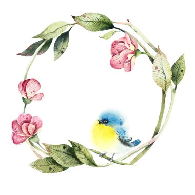 Bir dalda kuş derisi. Kuşla desen. Suluboya el çizimi çizimi