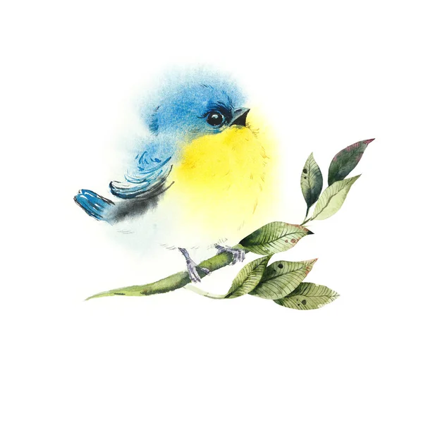 Siskin Oiseau Sur Une Branche Modèle Avec Oiseau Aquarelle Illustration — Photo