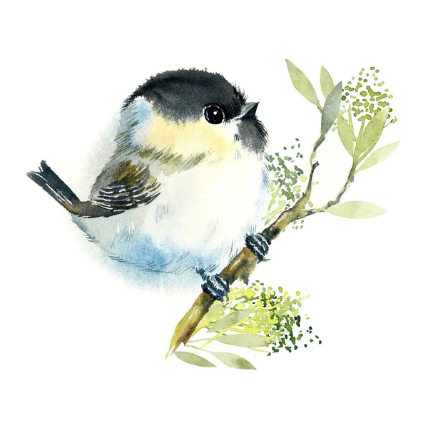 Marron Marche Sur Une Branche Modèle Avec Oiseau Aquarelle Illustration — Photo