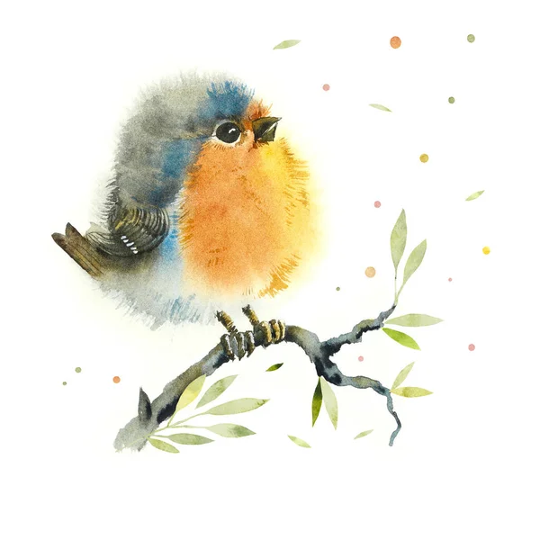 Robin Een Tak Patroon Met Vogel Aquarel Hand Getekend Illustratie — Stockfoto