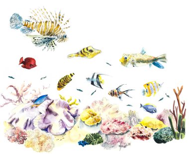 Mercan kayalıkları. Su altında yaşayanlar. Deniz hayatı. Suluboya el çizimi çizimi. 