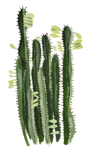 Een Cactus Woonplanten Gouache Met Hand Getekend Illustratie — Stockfoto