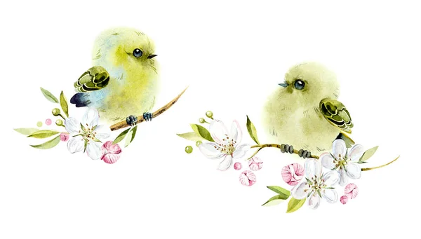 Two Birds Branch Flowers Decoration Wildlife Scene Watercolor Hand Drawn — Stock Photo, Image