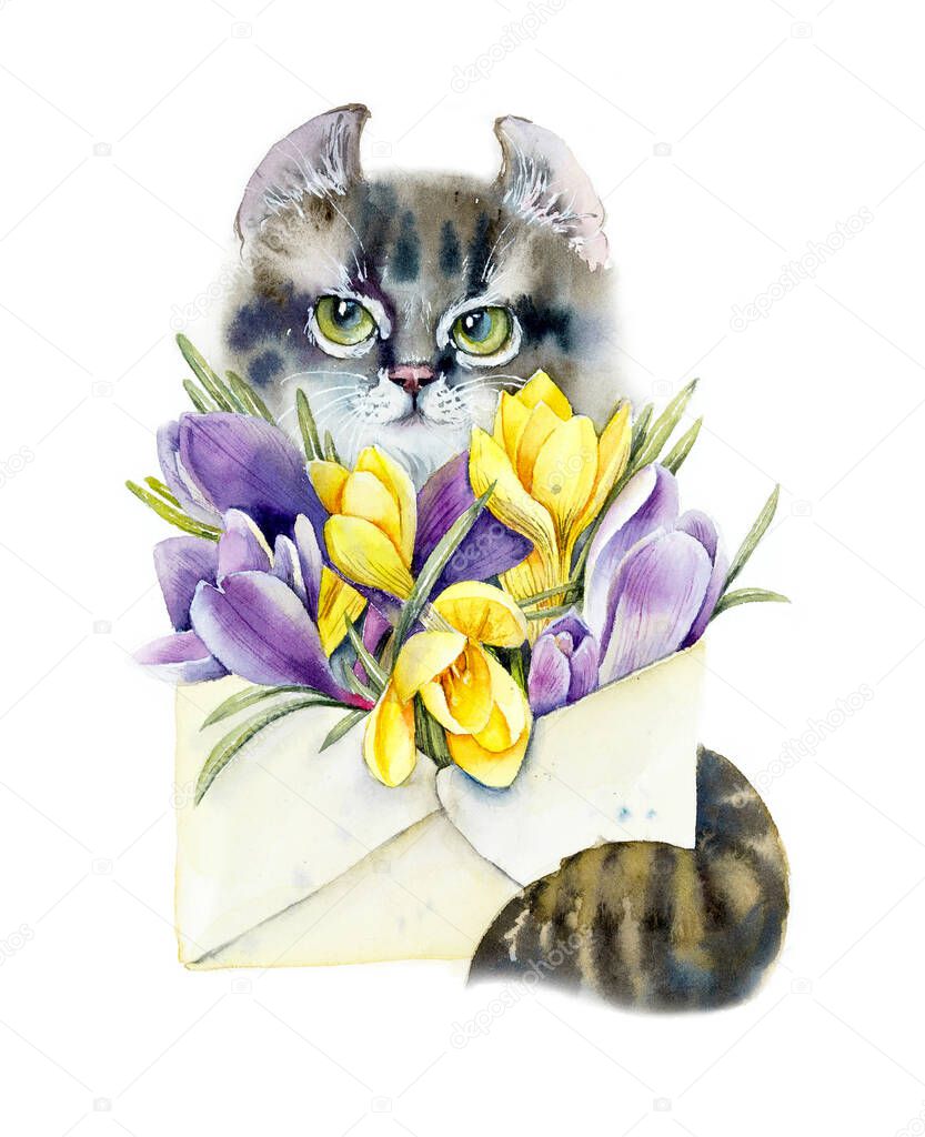 Kitten with flowers. Crocuses inside envelope. Flower backdrop. Watercolor hand drawn illustration