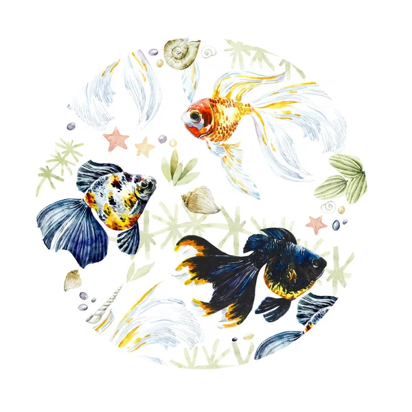 Golden Fish Water Watercolor Collection Hand Drawn Illustration — Stock Photo, Image