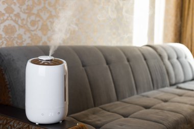 Beyaz modern hava nemlendirici oturma odasında kanepenin yanında kalıyor. Buhar üzerine seçici odaklanma, bulanık arkaplan. Uzayı kopyala Aroma yağı yayıcı. Rahat bir günlük hayat. Hava saflığı ve sağlık hizmeti kavramı.