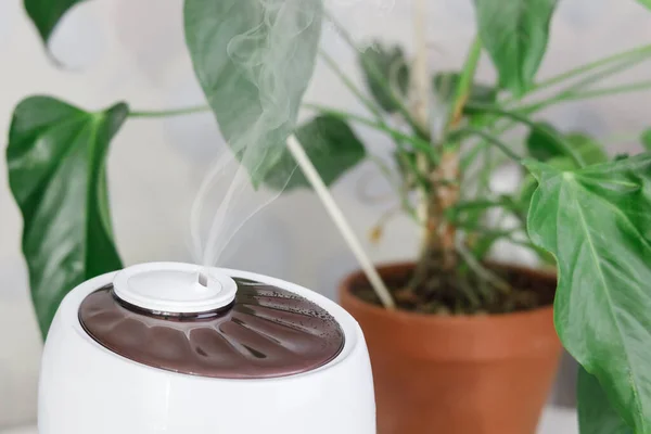 White Air Humidifier Spreading Steam Humidification Dry Air Selective Focus — Stock Photo, Image