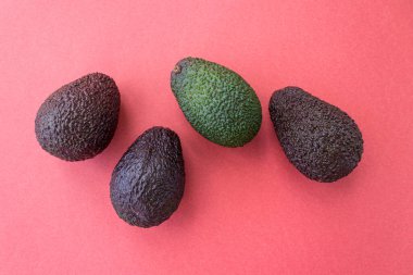 Kırmızı arka planda farklı olgunlukta avokado. Düz yatış stili. Kapatın. Metin için yer