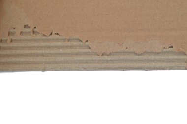 Beyaz arkaplan ve yırtık kartonla arka plan.