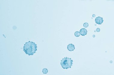 Grunge Dynamic fırça darbeleriyle arkaplan.