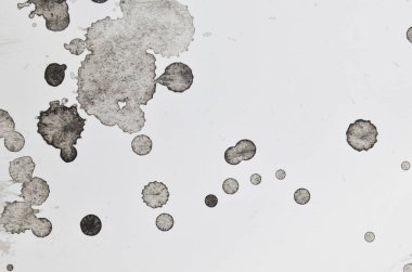 Grunge Dynamic fırça darbeleriyle arkaplan.