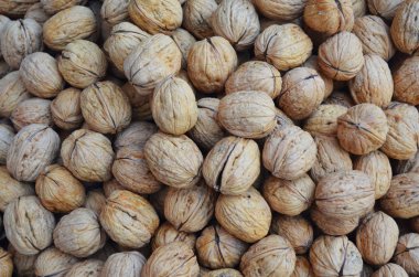 Kabuklu cevizli doğal arka plan.