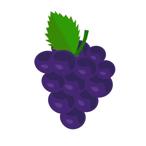 Grape White Background — Stock Vector