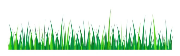 Green Grass White Background — Stock Vector