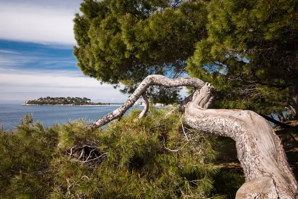 Porec, Istra, Croatia