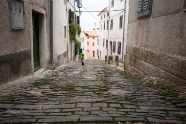 Famous Motovun, Istra, Croatia