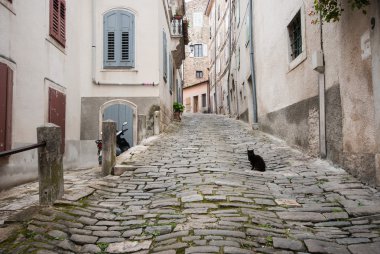 Famous Motovun, Istra, Croatia